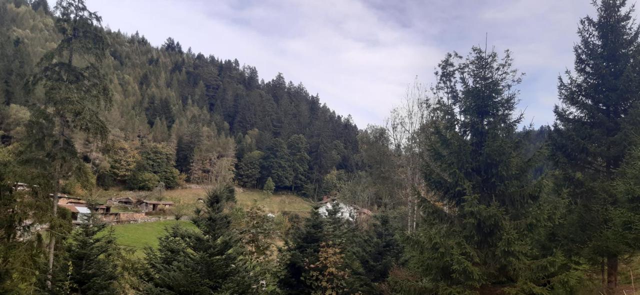 Le Montagnard Διαμέρισμα Gérardmer Εξωτερικό φωτογραφία