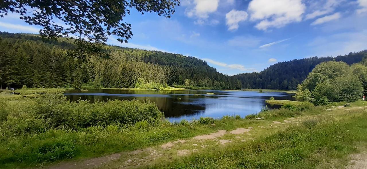 Le Montagnard Διαμέρισμα Gérardmer Εξωτερικό φωτογραφία