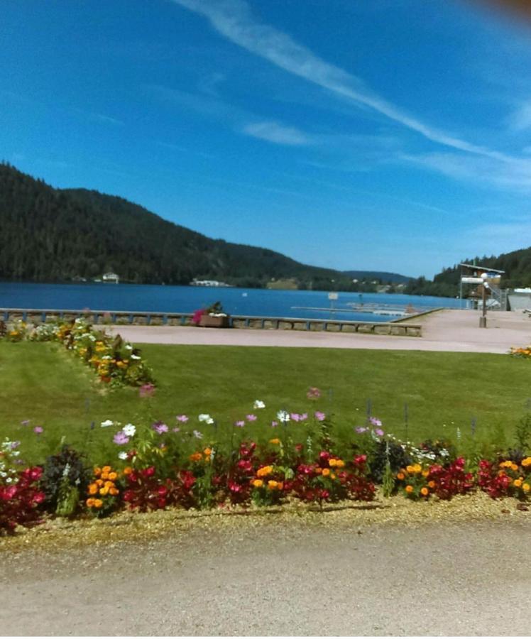 Le Montagnard Διαμέρισμα Gérardmer Εξωτερικό φωτογραφία
